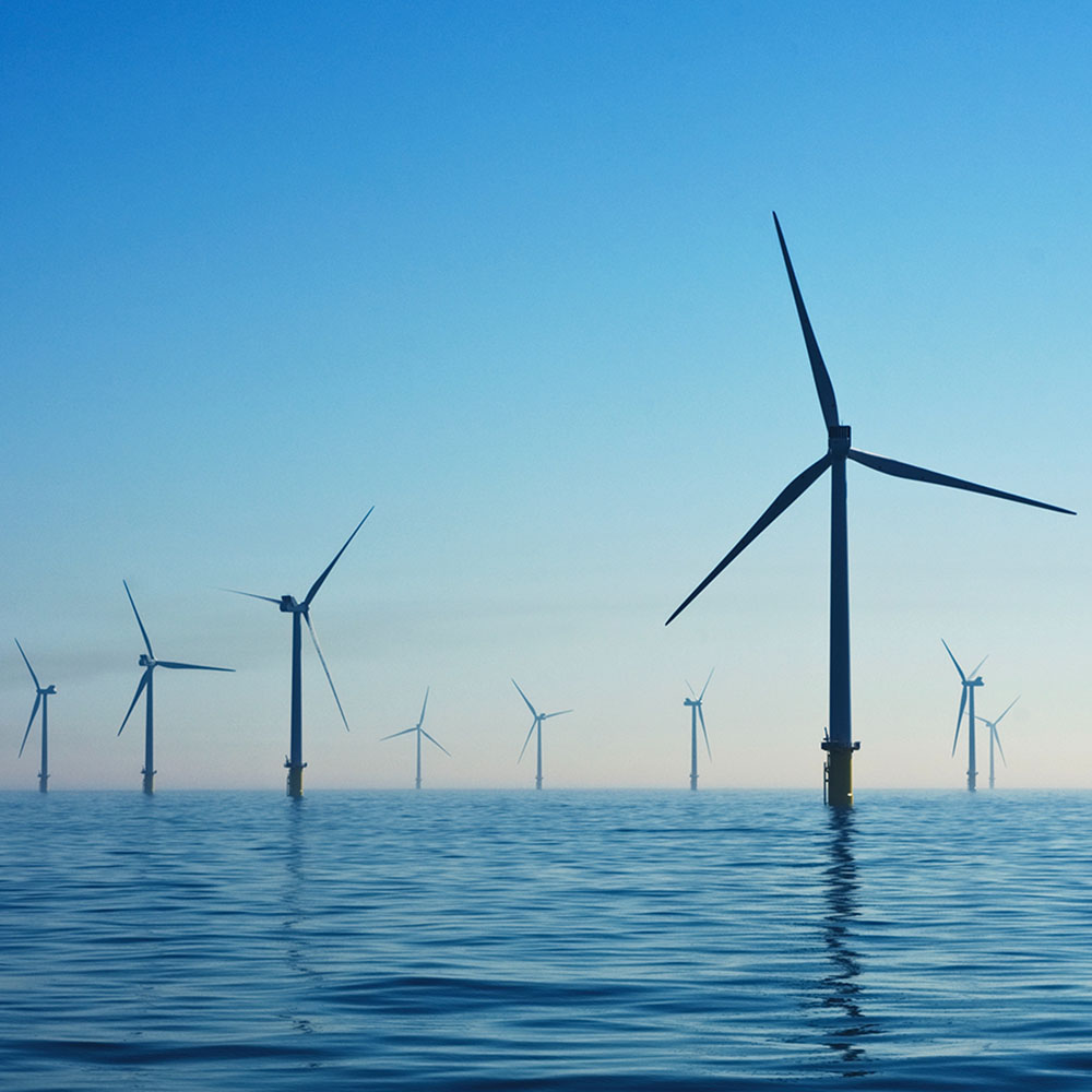 Ecom Scotland Takes The Lead In Creating A Carbon Neutral Business World