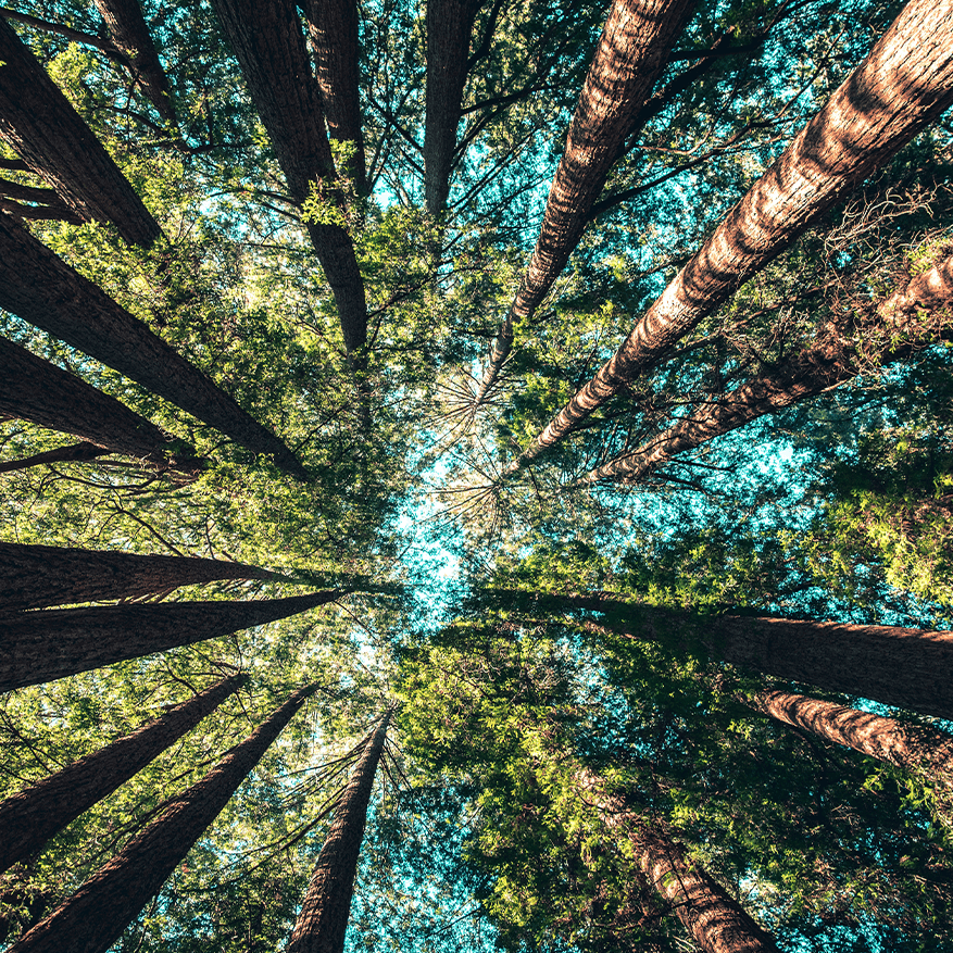 Chartered Institute Header Image